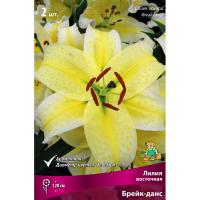 Лилия Восточная Брейк-данс (14/16) 2 шт 