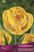 Тюльпан Махровый поздний Йеллоу Помпонетт (11/12) 10 шт