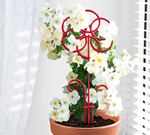 Шпалера для комнатных растений Ромашка 45*16см проволока  