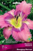 Лилейник гибридный Милдред Митчел (I) 1 шт