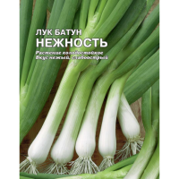 Лук батун Нежность 5г XXXL