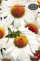 Нивяник Ромашка Любит-не-любит 20*0,5 