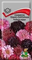 Скабиоза тёмно-пурпурная Разбитое сердце 10 шт