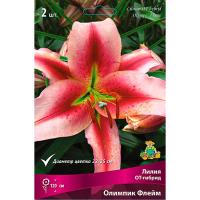 Лилия ОТ-Гибрид Олимпик Флейм (14/16) 2 шт
