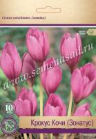 Крокус  Кочи (7/8) 10шт
