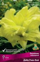 Лилейник гибридный Дабл Ривэ Вай (I) 1 шт