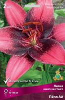 Лилия Азиатская Танго Пепл Ай 