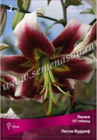 Лилия ОТ-Гибрид Лесли Вудрифф