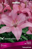 Лилия ЛА-Гибрид Чайковский (12/14) 5 шт