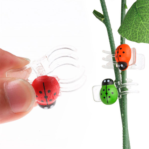 Набор клипс для орхидей 6шт "Божья коровка" 