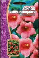 Кампсис укореняющийся 7 шт