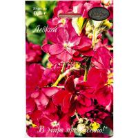 Левкой Праздник 20*0,3 