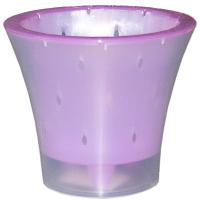 Кашпо для орхидей Ванда 6л прозрачный с фиолетовый вставкой ВД25-05