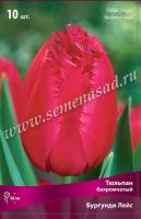 Тюльпан Бахромчатый Бургунди Лейс (11/12) 10 шт