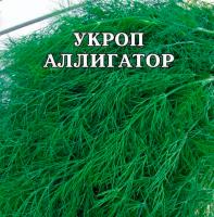 Укроп Аллигатор 500г