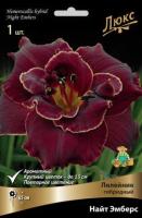 Лилейник гибридный Найт Эмберс (I) 1 шт