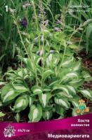 Хоста волнистая Медиовариегата (I) 1 шт 