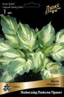 Хоста гибридная Лейксайд Пейсли Принт (I) 1 шт