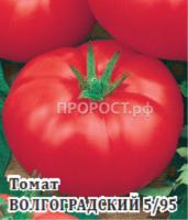Томат Волгоградский 5/95 5 г