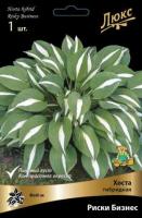 Хоста гибридная Риски Бизнес (I) 1 шт