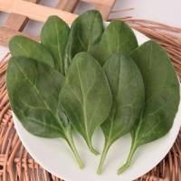 Шпинат Крепыш 25г