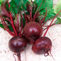 Свекла Мулатка 400г