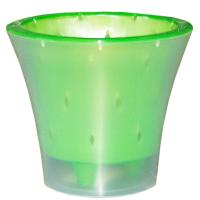 Кашпо для орхидей Ванда 3,3л прозрачный с зеленой вставкой ВД20-03