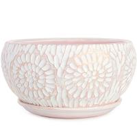 Астра плошка 2 27-223/575701