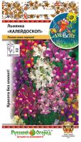 Льнянка Калейдоскоп смесь