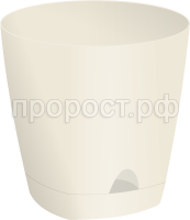 амстердам слив