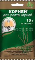 Корней-10-пакет-2021 Корней-10-пакет-2021