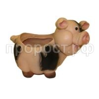 свинка092 свинка092