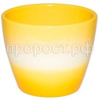 фанси фанси