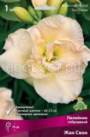 Лилейник гибридный Жан Свон
