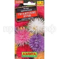 астра гиган.лучи1