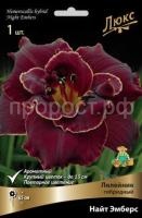 Лилейник гибридный Найт Эмберс