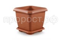 gorshok_s_poddonom_izmir_kvadrat_terrakotovyy-900x600 gorshok_s_poddonom_izmir_kvadrat_terrakotovyy-900x600