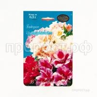 Годеция Свадебный букет смесь 20 0,5 Каприс