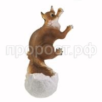 Ежи, белки, зайцы_html_36f47aea10c4e6cc