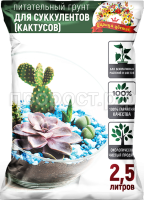 25л-суккуленты 25л-суккуленты