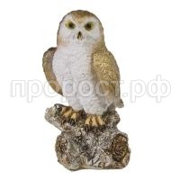 сова на коряге сова на коряге