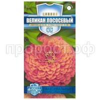 великан лососевый великан лососевый