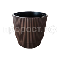 Жасмин 17шоколад