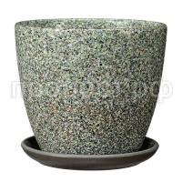 Сахара зеленый крокус