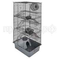 43122ser-chern_1 43122ser-chern_1