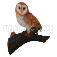 совенок на сучке