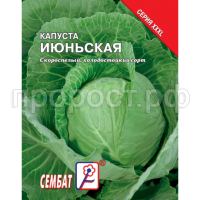 Капуста белокочанная Июньская 5г XXXL Капуста белокочанная Июньская 5г XXXL