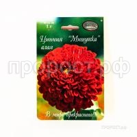 Цинния Мишутка алая 201 Каприс