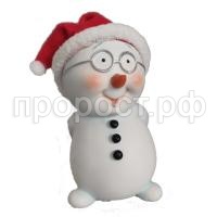 снеговик в очках