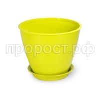 Мальта-фисташка Мальта-фисташка